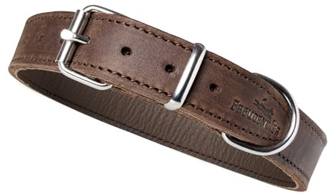 FREUDENTIER Hundehalsband Leder - Weiches Fettleder - Handmade in EU | Lederhalsband für kleine, mittelgroße & große Hunde - geschmeidig ab Tag eins - aus LWG Gold zertifizierten Gerbereien