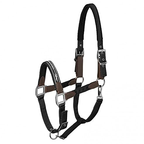 Schockemohle Sports GmbH Memphis Safety schwarz - VOLLBLUT