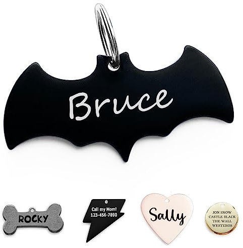 ADOGINTHEHOUSE 316 Chirurgischer Edelstahl Katzemarke Halsbänder Name Zubehör Hundemarke Für Sport im Freien Haustier Namensschild Personalisierte Schläger
