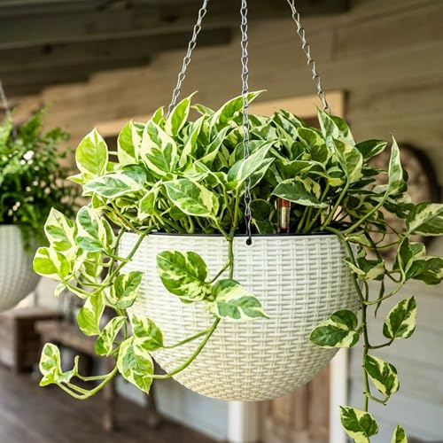 LaLaGreen - Macetas colgantes para plantas de interior (11 pulgadas, 3 unidades) macetas redondas de riego automático con indicador de nivel de agua, cestas estilo ratán blanco con cadena de metal