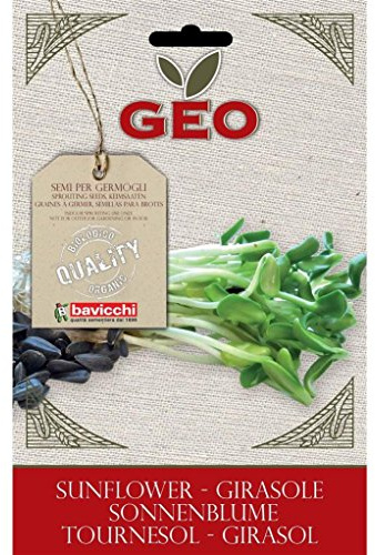 SEMI BIO DI GIRASOLE PER GERMOGLI 80GR SEMENZAIO SEMENTI SEEDS