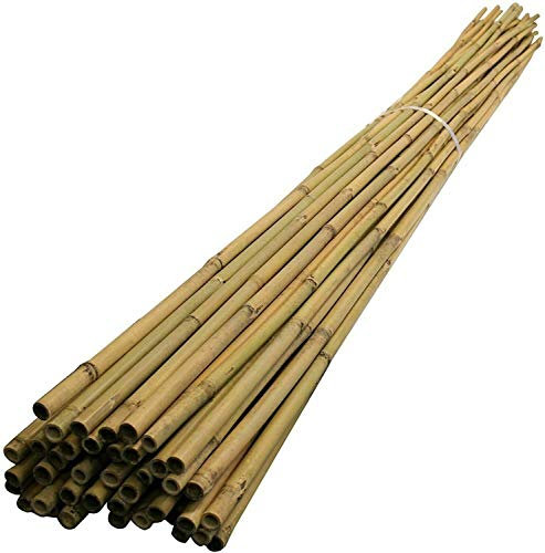20 x 6FT (14-16mm) Bamboo Garden Canes/Stake/Pole Garden Plant Flower Support Sticks Outdoor/Indoor Plants Support Natural Strong (Pack Of 20)