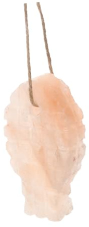 DOITOOL Bloc de Sel à Lécher pour Lapins et Hamsters Sel Minéral Naturel Forme Poisson pour Animaux de Compagnie