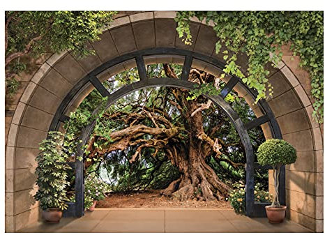 Fototapete 3D EFFEKT Baum Wald Fenster mit Aussicht Natur Ausblick Wohnzimmer Schlafzimmer Vlies Tapete inklusive Kleister Wandtapete UV-Beständig Montagefertig (14089, V8 (368x254 cm) 4 Bahnen)