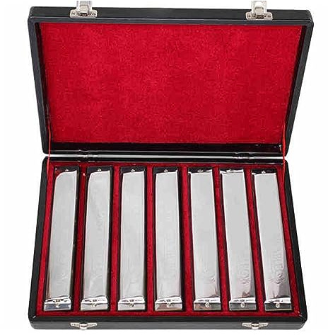 Anfänger Mundharmonika Silbernes 24-Loch Polyphones Mundharmonika-Set, 7-teilig Mit C/D/E/F/G/A/B, Geeignet Für Professionelle Auftritte