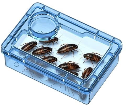 Reptile Feeding Dish Clear Escape Proof Feeder | Hermit Crab Food Bowl Lizard Feeder for Hermit Crab Frog Spider Chameleon Iguana Lizard Tarantula