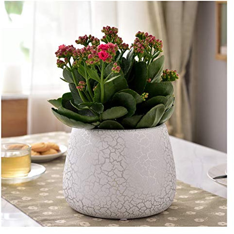 HASMI Blumentöpfe Keramische Blumentopf Große Pflanze Container Balkon Tisch Ornamente Indoor Dekoration Pflanztöpfe (mit Abflussloch) Pflanzkübel (Color : Silver)