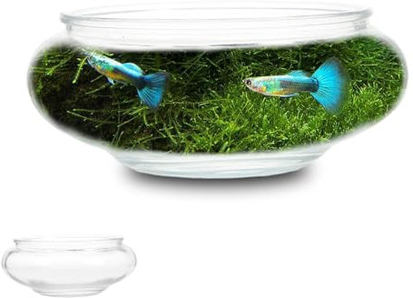 Zerodeko Glasfischschale Runde Transparente Vase Für Hydroponik Terrarium Und Aquarienpflanzen Multifunktionale Dekoration Für Zuhause Büro Hochzeit Für Fische Garnelen Und