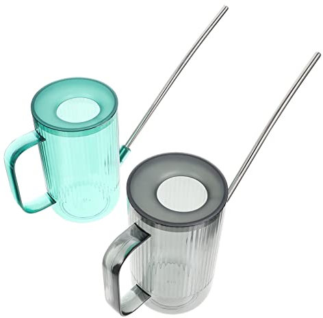 KONTONTY Arrosoir Élégant en Acier Inoxydable pour Plantes Dintérieur Lot De 2 avec Pulvérisateurs Rechargeables