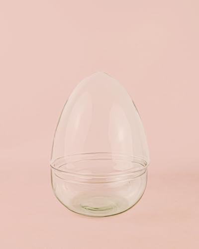 Ovo Terrario Bol 20x27cm | Terrario Cristal | Pur Plant