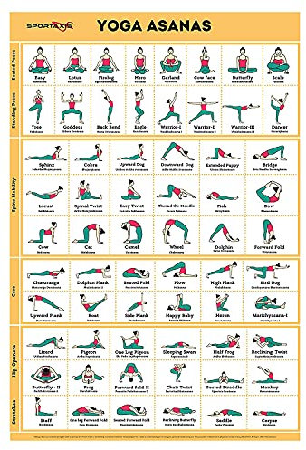 SPORTAXIS Yoga Poses Poster- 64 Yoga Asanas For Full Body Workout- Laminated Home Workout Poster With Colored Illustrations - English And Sanskrit Names