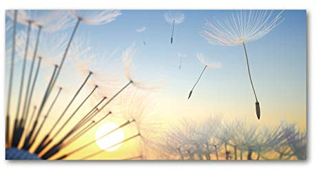 Tulup Leinwandbild - Wandkunst - Drucke auf Leinwand - Leinwanddruck -140x70 cm - Blumen & Pflanzen - Mehrfarbig - Pusteblume