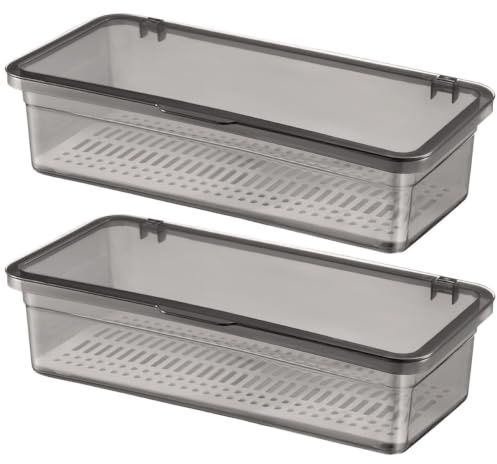 NAMOARLY 2 Pièces Boîte De Rangement De Couverts Transparent Boîte De Rangement en avec Couvercle Boîte À Ustensiles en