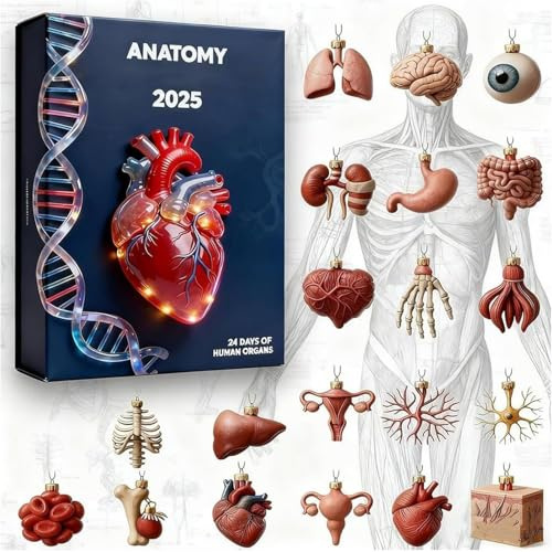 Calendario 'Avvento 2025 con anatomia divertente in miniatura, ciondolo natalizio in acrilico 24 giorni, calendario per conto alla rovescia umano, per, infermieri, insegnanti