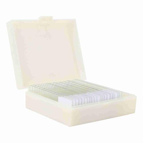 CHICIRIS 20 Piezas Portaobjetos Preparados para Biología, Tratamiento de Teñido, Cortes de Microscopio de Vidrio óptico, Muestra de Laboratorio, Ideal para Educación Científica para