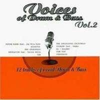 Voices of Drum & Bass 2