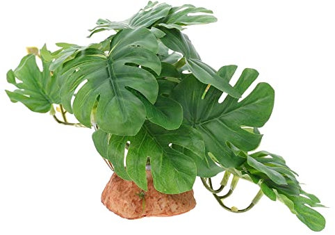 HAPINARY Décoration Artificielle Grimpante pour Reptiles Ajoute Une Touche De Style À Lhabitat De Votre Animal