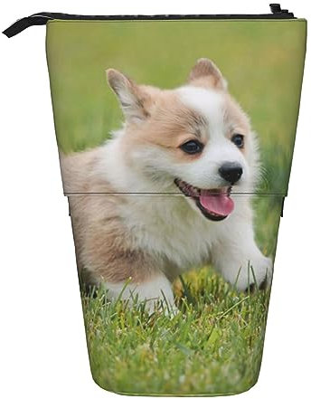 EVANEM Stehendes Federmäppchen Pop up Bleistifthalter Cartoon Tier Teleskop Schreibwaren Fall für Büro Stand-up Organizer Retractable Pencil Pouch Pencil Bag Stifthalter für Arbeit 7 × 14,5 cm, Corgi