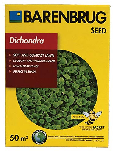 BARENBRUG SEMENTI PRATO DICHONDRA 500G
