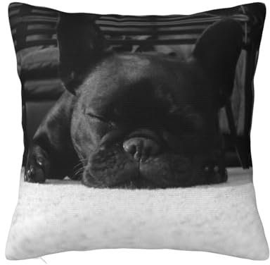 MELPHI Quadratisches Kissen mit französischer Bulldogge, kann in jedem Zimmer, Schlafzimmer, Gästezimmer, Kinderzimmer verwendet werden
