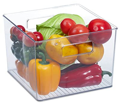 Relaxdays 2X Organizer da Frigorifero, Contenitore da Cucina, Box per Alimenti, HLP: 15,5x21x21 cm, con Manici, Trasparente