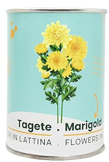 iGreen Fiori in Lattina - Kit Coltivazione Fiore (Tagete) - Idea Regalo Ecosostenibile - 100% Made in Italy - Lattina in Alluminio con Semi di Pianta o Fiore Decorativo e Riciclabile