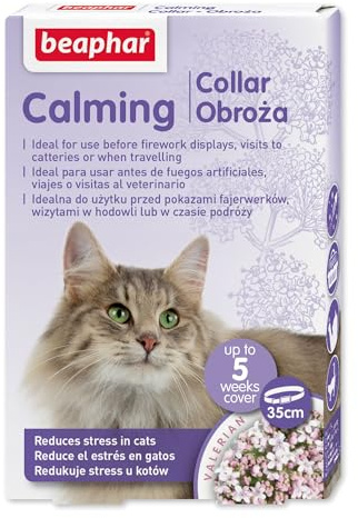 Beaphar - No Stress - Collar calmante de Valeriana para Gatos - Reduce el estrés y los Problemas de Comportamiento sin somnolencia - 1 Collar 35cm - 4 semanas de eficacia