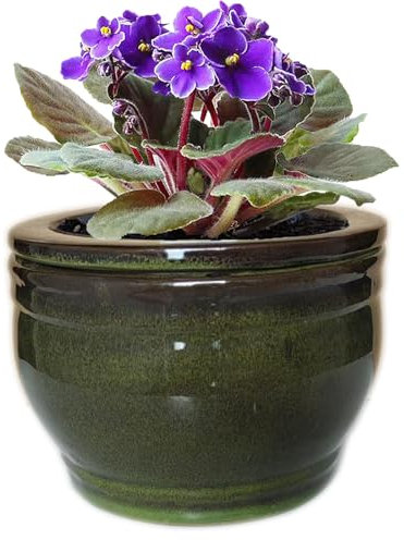 Dphagesy Macetas de violetas africanas de 15 cm, redondas, de cerámica, color verde oliva