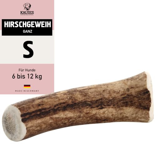 Kauies Hirschgeweih für Hunde ganz - Monoprotein, 100% natürlich, zuckerfrei und kalorienarm - Made in Germany, nachhaltig und tierversuchsfrei - Größe S