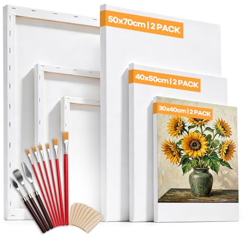 DazSpirit Leinwand Set zum Bemalen 6 Stück, 30x40 40x50 50x70 cm je 2 Stück