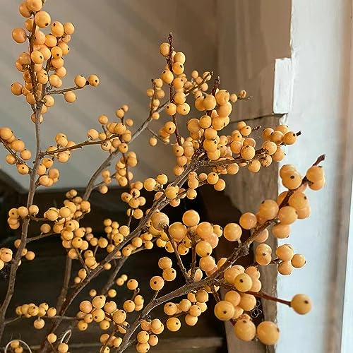 semi di agrifoglio - Ilex aquifolium giardino perenni resistenti decorazione decorativa silvestre decorazione interna 25pcs