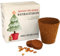 Weihnachtsbaum Anzuchtset als Adventskalender Füllung - Mini Geschenk als Idee für den Adventskalender für Frauen und Männer - Nordmann-Tanne zum selber Pflanzen