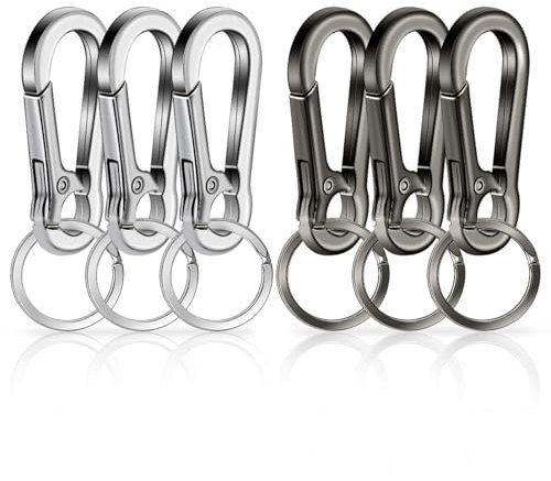 Alethron Schlüsselanhänger Karabiner, 6 Stück Metall Karabinerhaken Schlüsselanhänger Klein Schlüsselkarabiner Schlüssel karabiner für Autoschlüssel Rucksäcke Charms