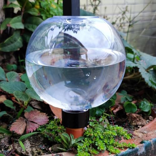 2pieces Plant Watering Globes | Self-Watering System | Automatic Watering Globes Planter Insert | Irrigation Drippers For Home Indoor Outdoor Automatic Irrigation System | 500ML