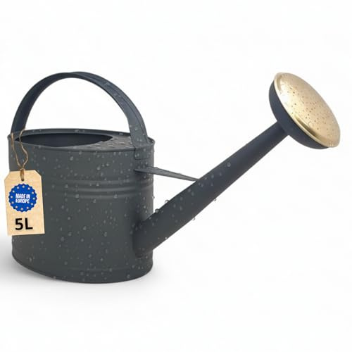 LIVLIG Zinc Watering Can, 5 Litres, Metal Garden Watering Can for Indoor and Outdoor Use, Vintage Watering Can, Removable Spout, Colour: Anthracite