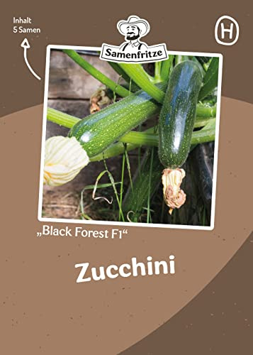 Zucchini Black Forest F1 Samen