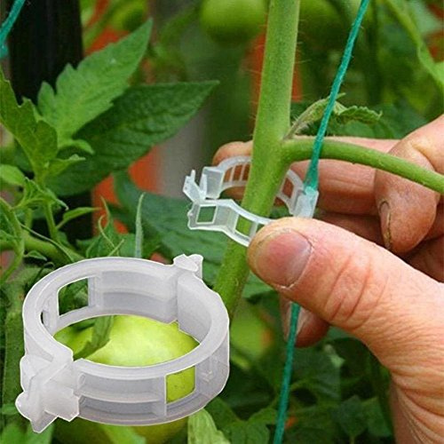 Wankd 200 Stück Pflanzenclips Pflanzenklammern Tomatenclips Verbinden Pfeffer Gurke Reben Kunststoff für Pflanzen Sicherung Unterstützt Einzupflanzen
