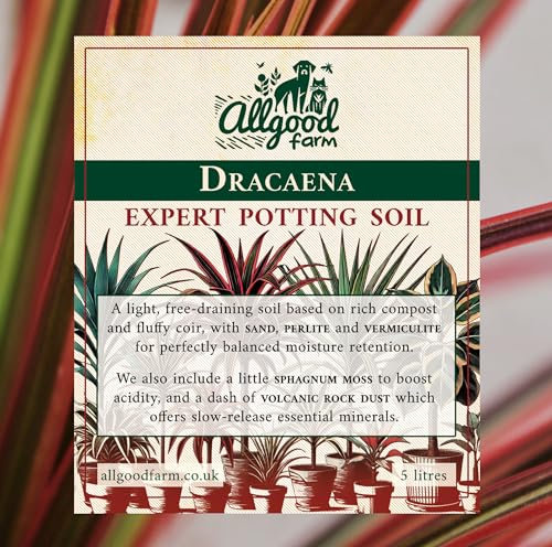Allgood Farm Dracaena Soil - Premium Potting Soil Mix for Dragon Tree Houseplants (5 Litres)