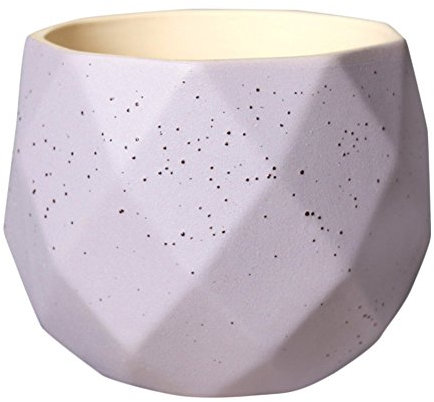 Vaso da fiori creativo in ceramica poligonale per piante grasse cactus contenitore per ufficio interno esterno giardino Decor - viola