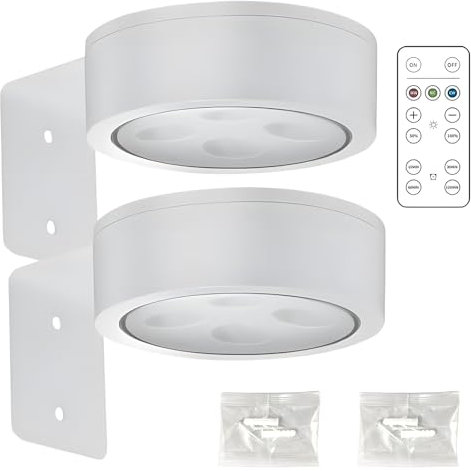 Neyeau 2 Pieces Magnetic Painting Light,Magnetic Picture Lights for Wall with Remote Control,3 Lighting Modes,for Decorating Various Photo Frames and Artworks (White)