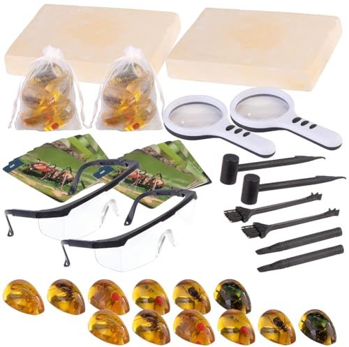 Playtastic Insekten-Ausgrabungskit: 2er-Set Bernstein-Ausgrabungssets für Kinder, mit Insekten, Werkzeug (Harz Ausgrabungskits, Entdeckersets)