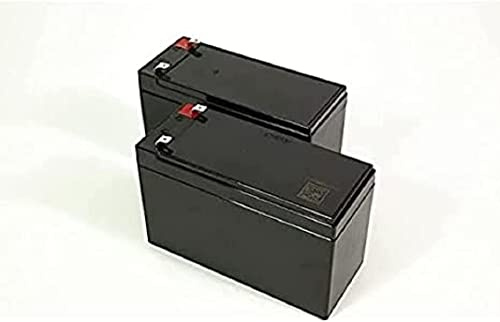 Eaton Battery+ – Pack de baterías 24V 2×12V 7Ah – 68761SP – Repuesto Oficial para 5S/Ellipse, VRLA – (B09MS93GXR)