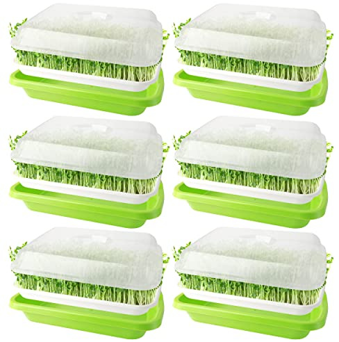 nuyikaso 6 Pack Seed Sprouter Trays with Lids Seedling Germination 33.5 x 23.5cm Large Capacity BPA Free Greenhouse with 24Pcs Planting Papers for Mung Beans Alfalfa Wheat Grass Garden