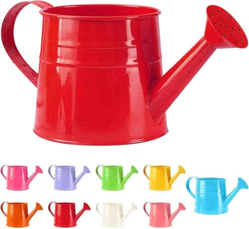 Petite arrosoir pour plantes d'intérieur 1L - Petite arrosoir en métal - Pot à fleurs - Arrosoir de jardin - Arrosoir vintage - Arrosoir pour plantes - Outil de jardin (1 pièce/Rouge)