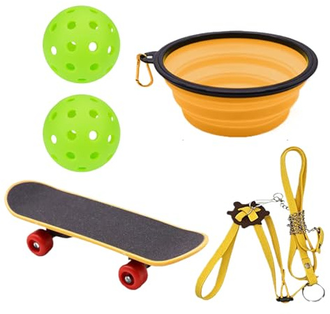 Sköldpaddor skateboard | foderboll för sköldpaddor med justerbart rep – tillbehör för akvatiska hamstrar bartagamn | daglig träning inomhus utomhus park