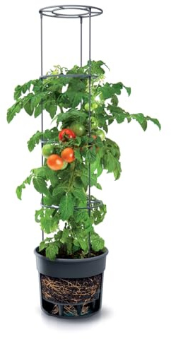 B2C Tomato Grower Pot Greenhouse Growing Support Home Garden Indoor Outdoor With Lid Cover 28L 12L Without Lid Home Grown Vegetable (12L)