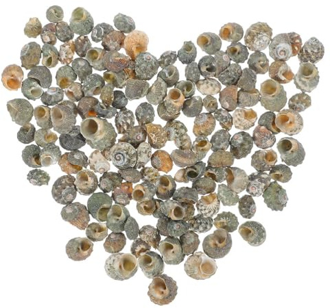 Housoutil Aquarium Deko Muschelschalen 100 Stück Natürliche Einsiedlerkrebsgehäuse Kreative Diy Muscheldekoration Für Fischbecken Landschaftsbau Aquarium Versteck