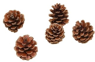 6 pigne di pino naturale, pigne di Natale, pigne di larice, pigne di Natale, decorazione per albero di Natale, 3-4 cm