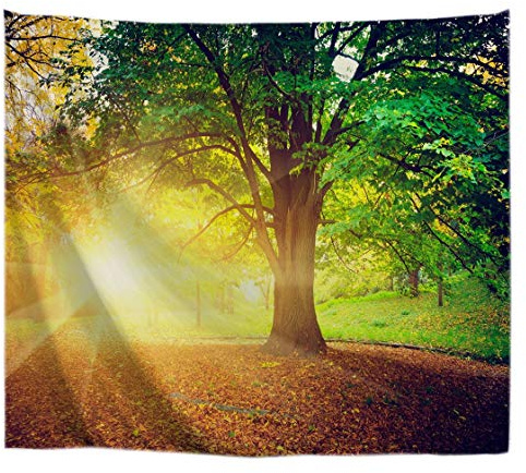 A.Monamour Wanddekor Wandteppiche Sonniger Morgen Sonnen Durch Großen Baum Wald Im Park Natur Landschaft Bild Drucken Stoff Wandbehang Tapisserie Wandbild Kunst Dekore 180x230cm