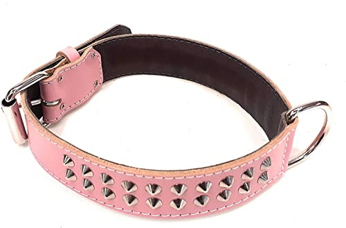 M&D Hundehalsband aus Leder, 3,8 cm breit, mit Nieten, für Hunde wie Staffordshire Bull Terrier und viele mehr